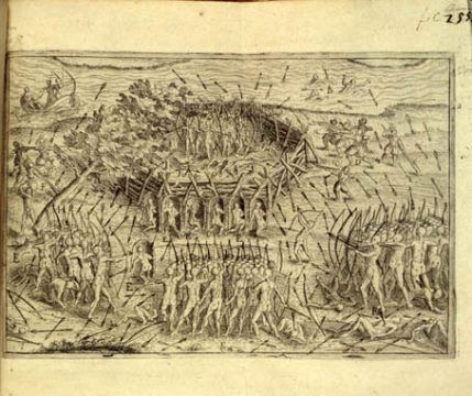 Trillium at the Fleetwood Creek Natural Area