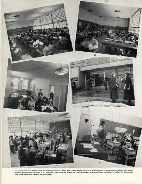 Follow the valley forest trail at the Fleetwood Creek Natural Area