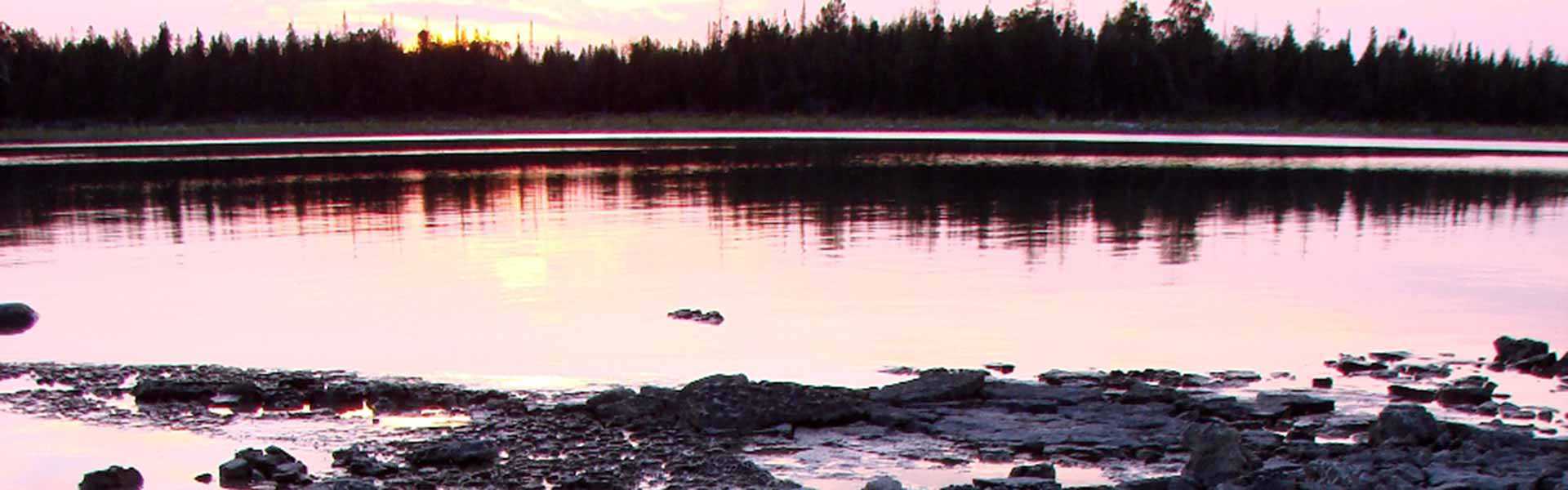 Clarke Property shoreline