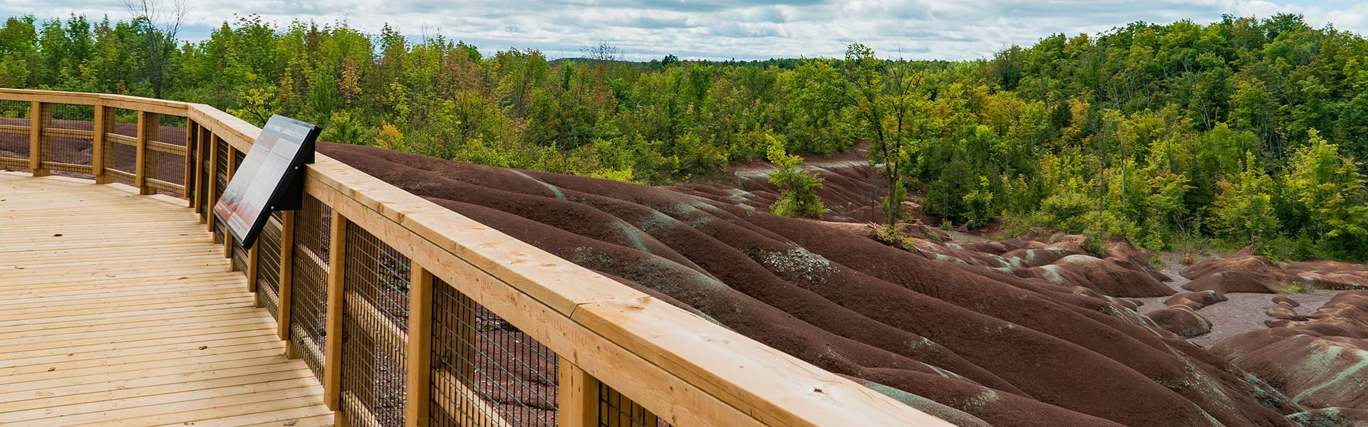 Les badlands de Cheltenham