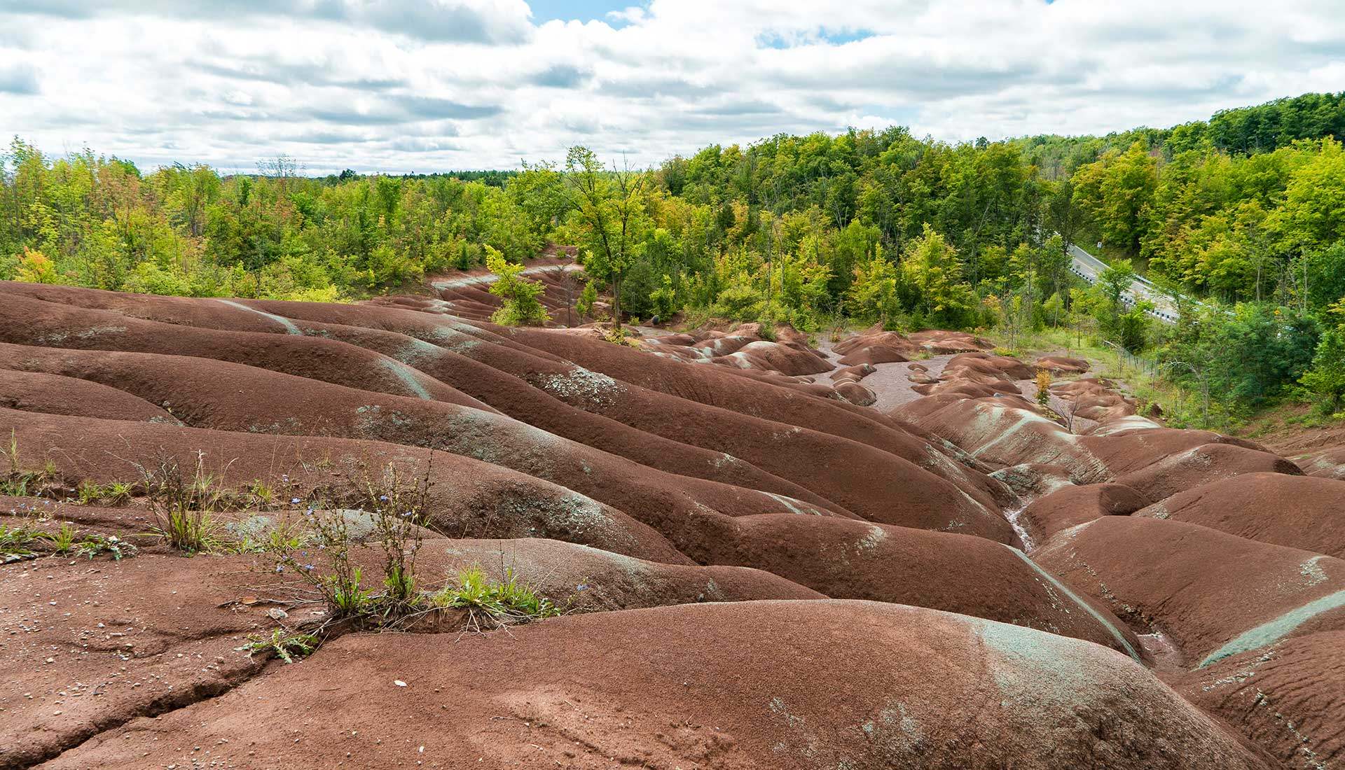 Cheltenham Badlands banner