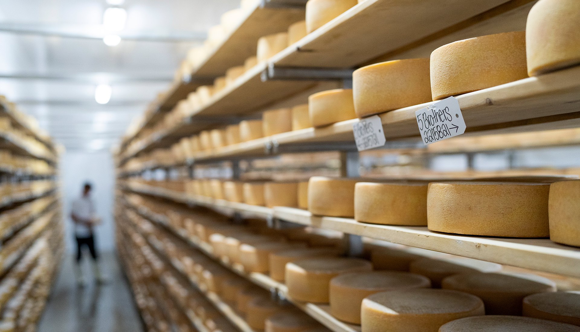 Gunns Hill Artisan Cheese DO banner