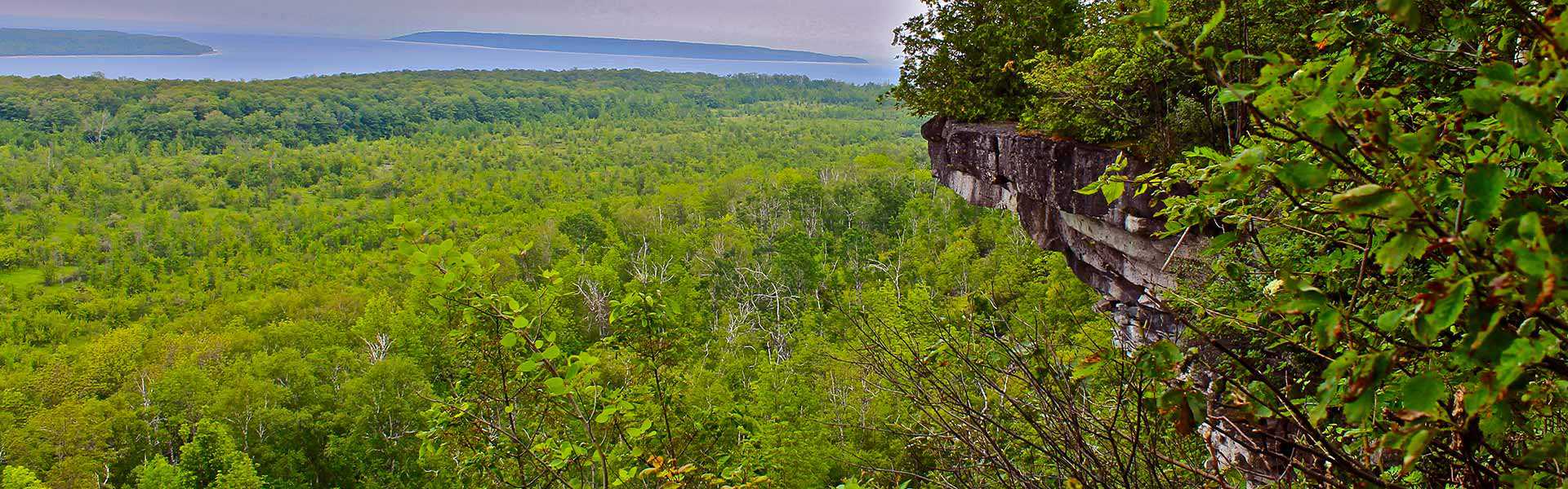 C. Thompson and Hambly properties (western lookout)