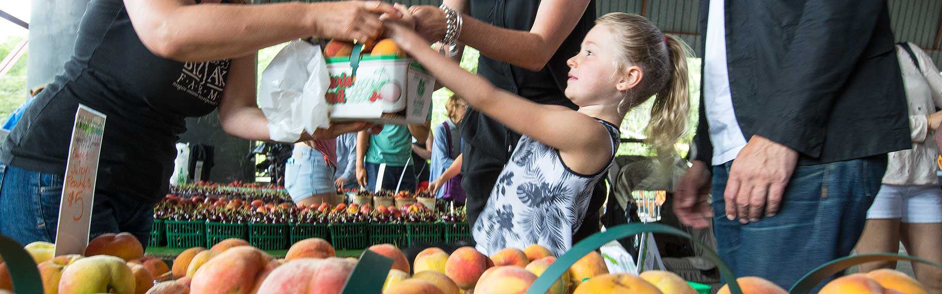 Market peaches DO 10001271 banner