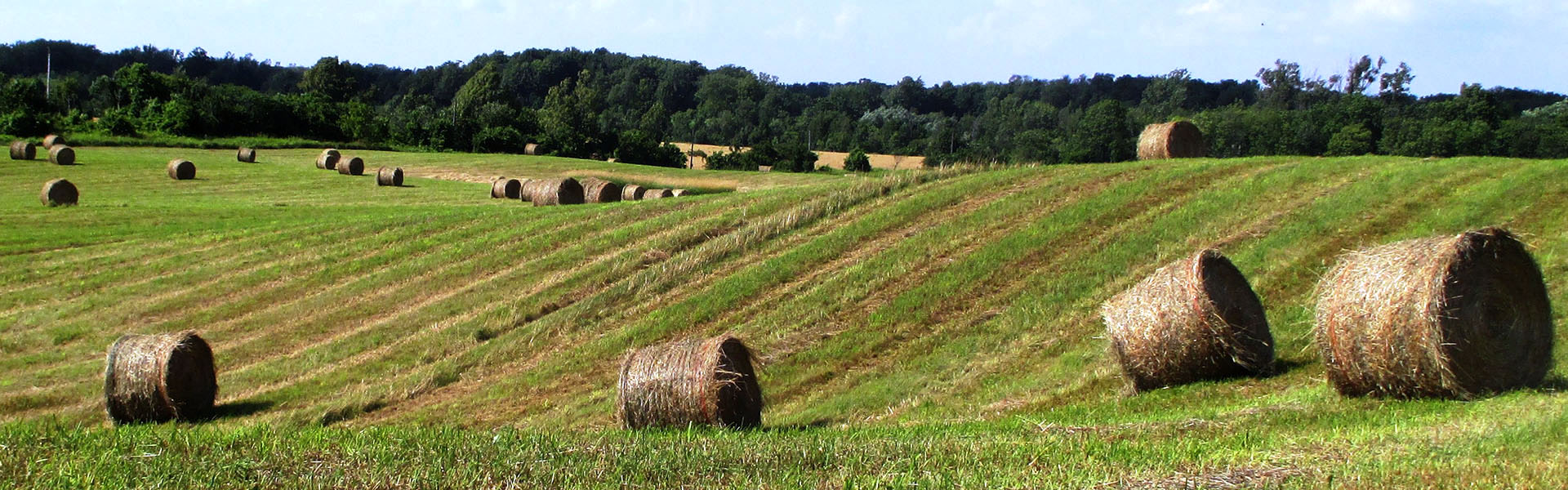 Scotsdale Farm, Halton Hills