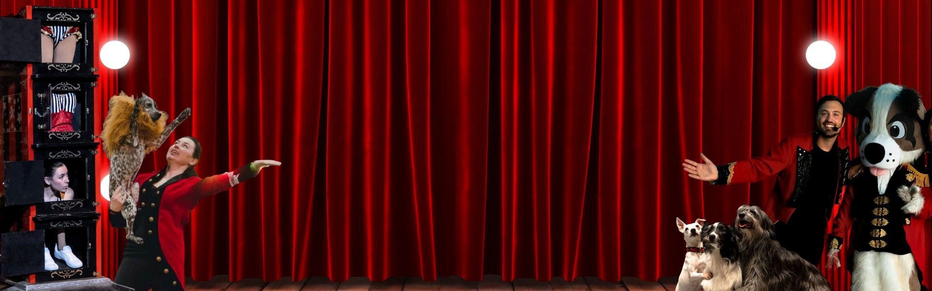 2026 Dogs do magic banner