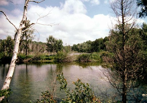 Propriété Yaremko-Ridley