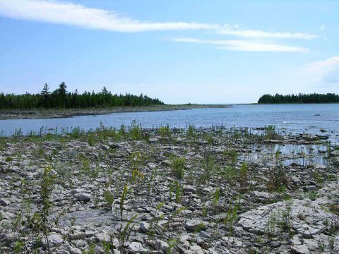 Rugged shoreline of the Clarke Property