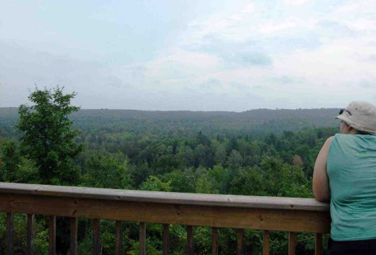 The viewing platform on the valley trail at Fleetwood Creek Natural Area