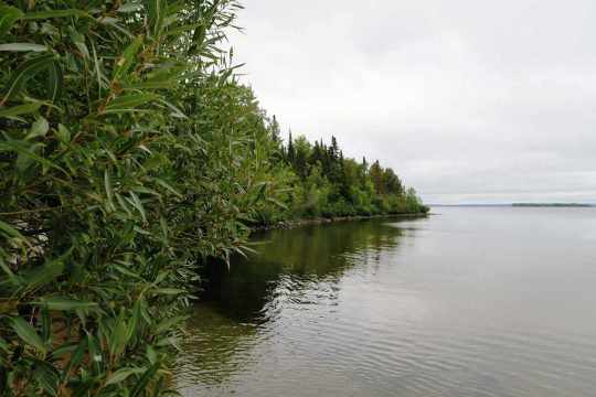 Shoreline at the Great Manitou Island Property