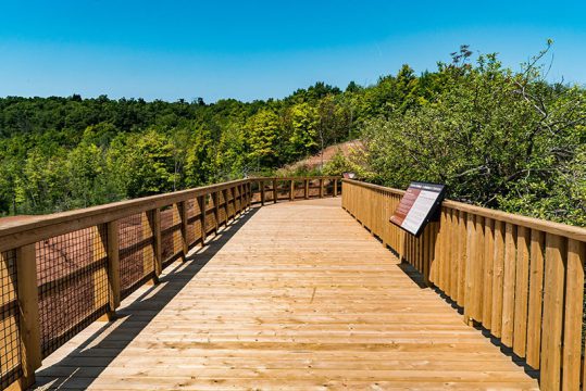 Cheltenham Badlands boardwalk