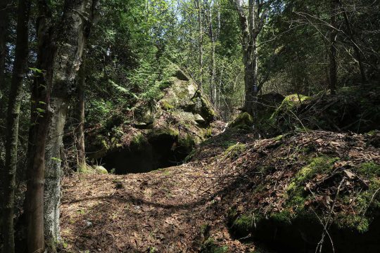 Glacial erratics