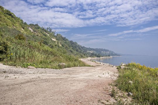 « Paradis d'une folle » (Scarborough)