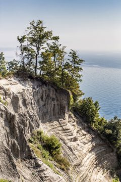 « Paradis d'une folle » (Scarborough)