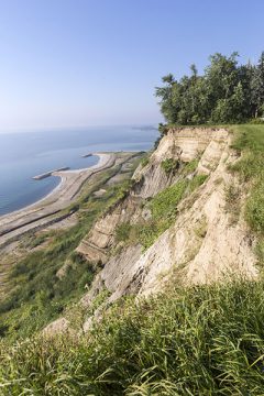 « Paradis d'une folle » (Scarborough)