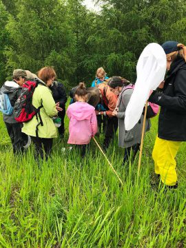 Bioblitz at the Fleetwood Creek Natural Area in 2019