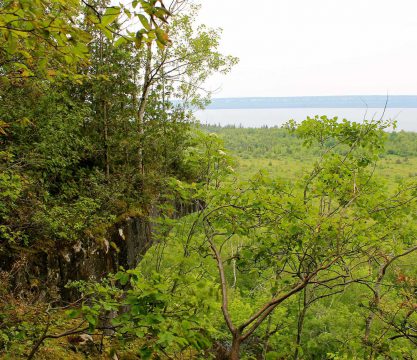 Poste d’observation à l’ouest de la propriété Hambly