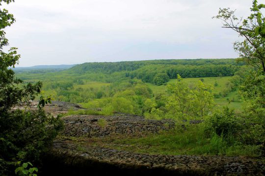 Eastern lookout over wetland found on the C. Thompson Property