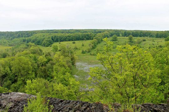 Eastern lookout over wetland found on the C. Thompson Property