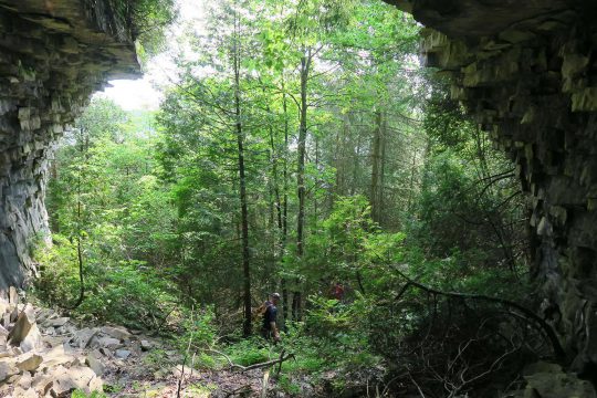 View from inside cave