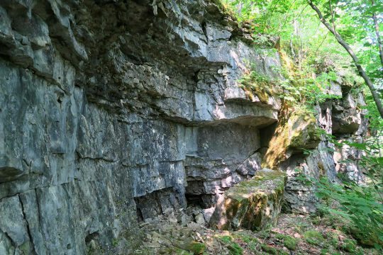 Dolostone cliff face