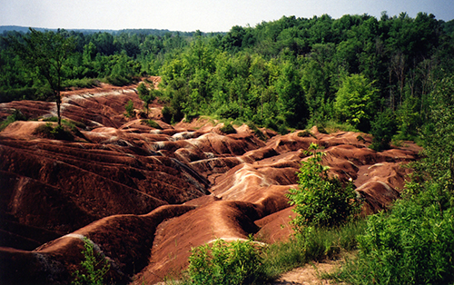 Les badlands de Cheltenham