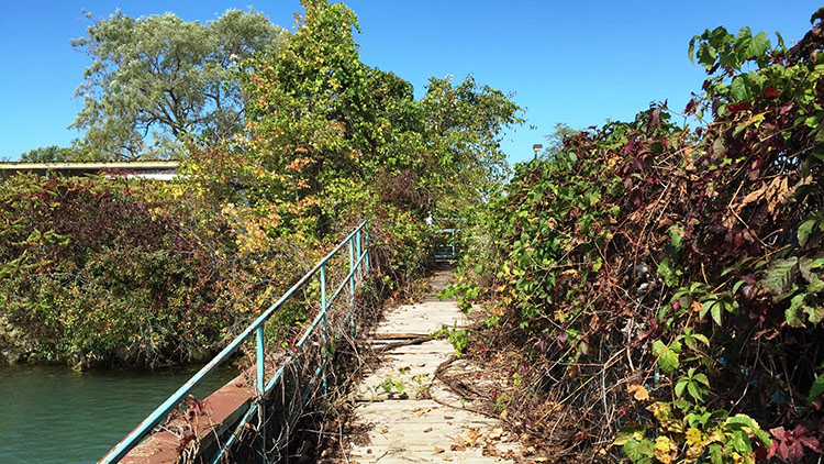  Quai du traversier de l’île Boblo (2015)