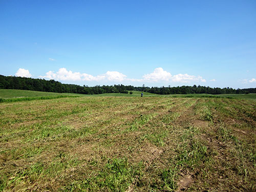 Thonnakona – a Huron-Wendat sacred cultural landscape in the city of Vaughan, and resting place of the Ancestors.