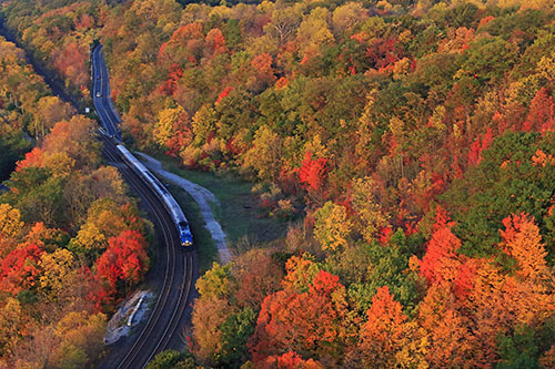 Vue aérienne d'un train qui traverse les arbres d'automne