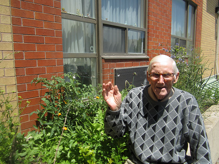 Luigi et son généreux jardin