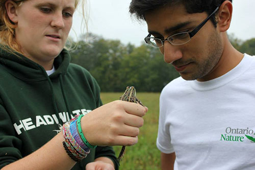 Muhammad Qureshi with a friend holding a frog