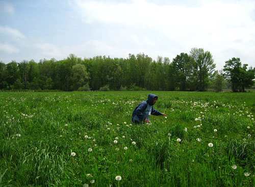 Muhammad Qureshi in a field