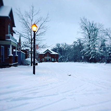 Scène d'hiver