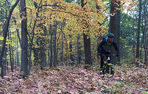 Yannick Bisson à vélo