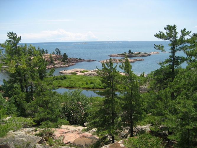 Le rivage de la baie Georgienne