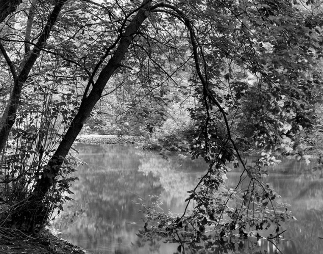 Beechville, Ontario (automne 2000)