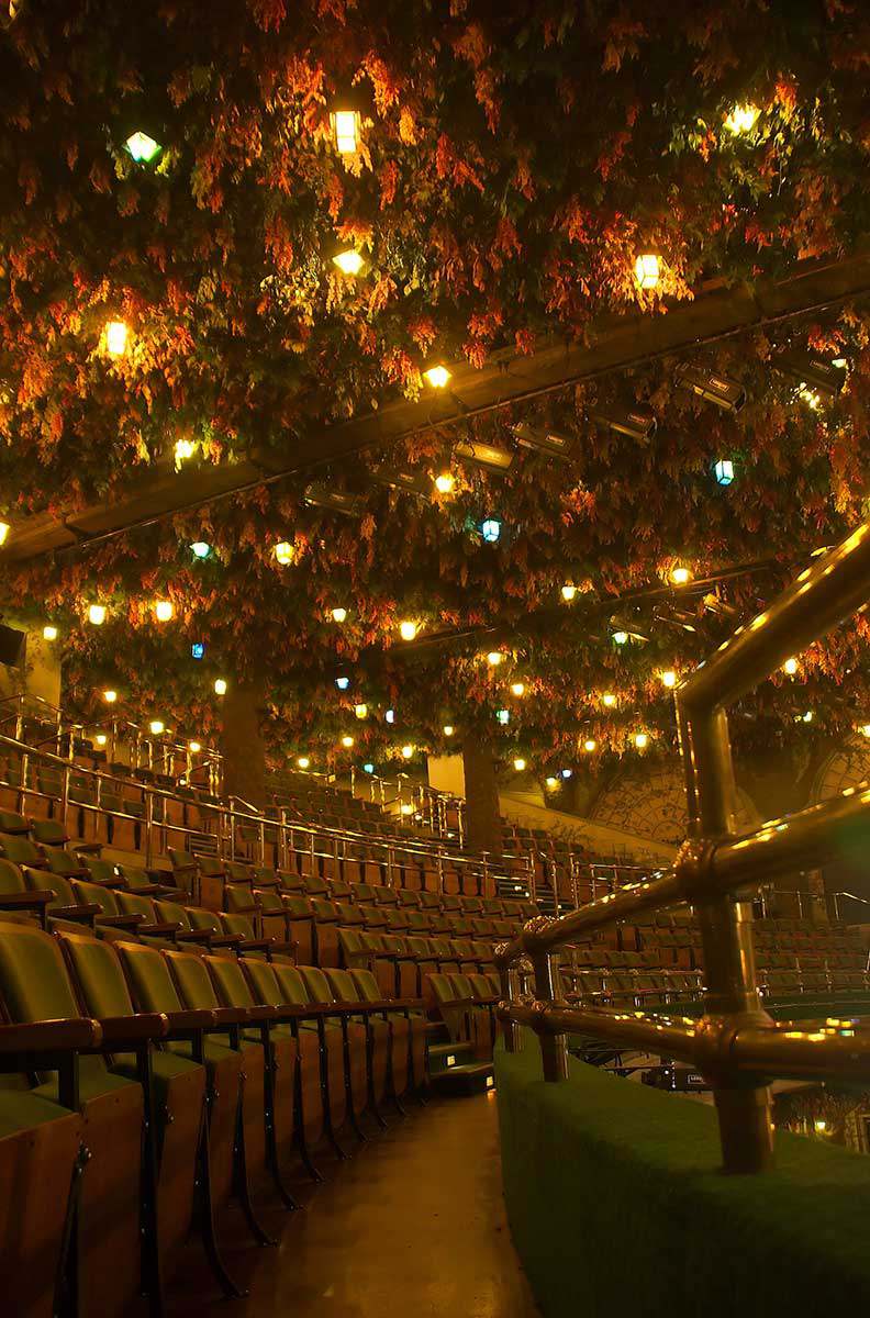 The Winter Garden Theatre, George Pelekis