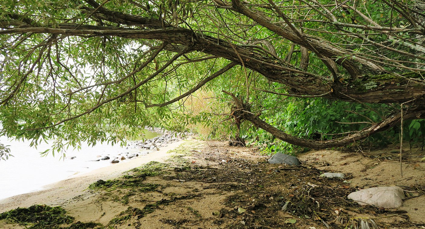 Great Manitou Island, near North Bay