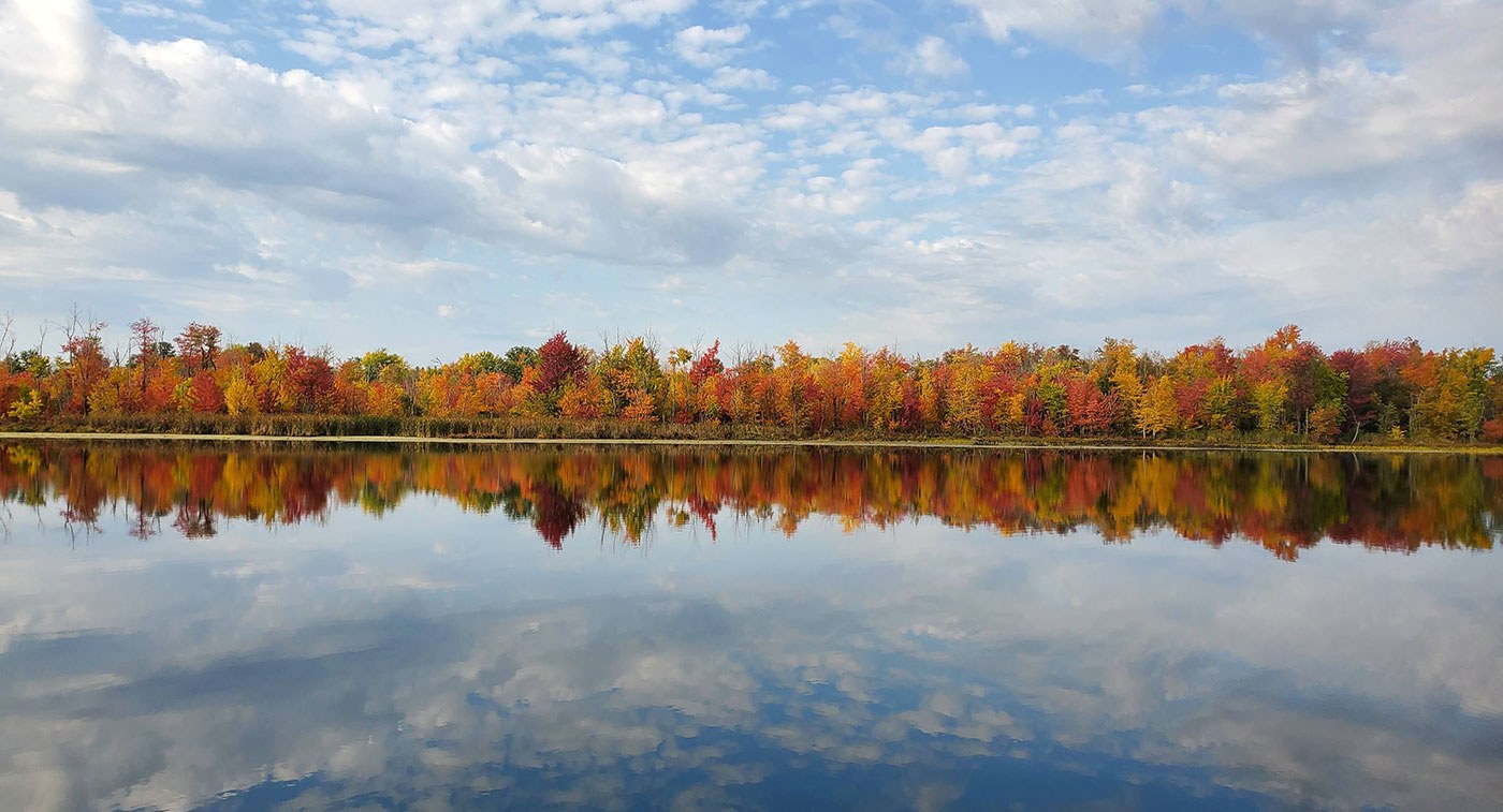 Marais Appleton (partie des propriétés Gardiner, Grace et Neilson)
