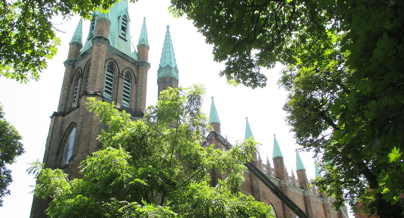 Assumption Church, Windsor