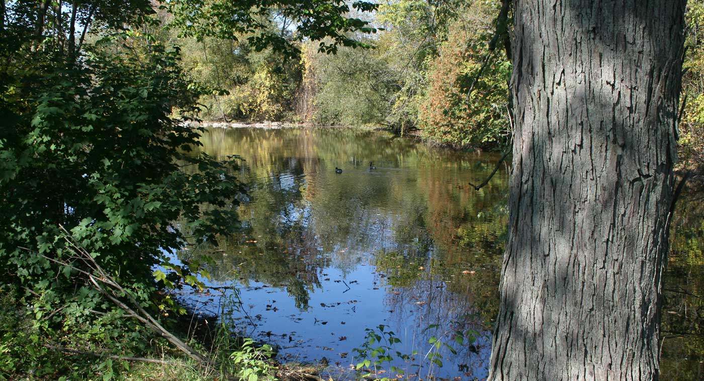 Scotsdale Farm pond landscape 02 banner