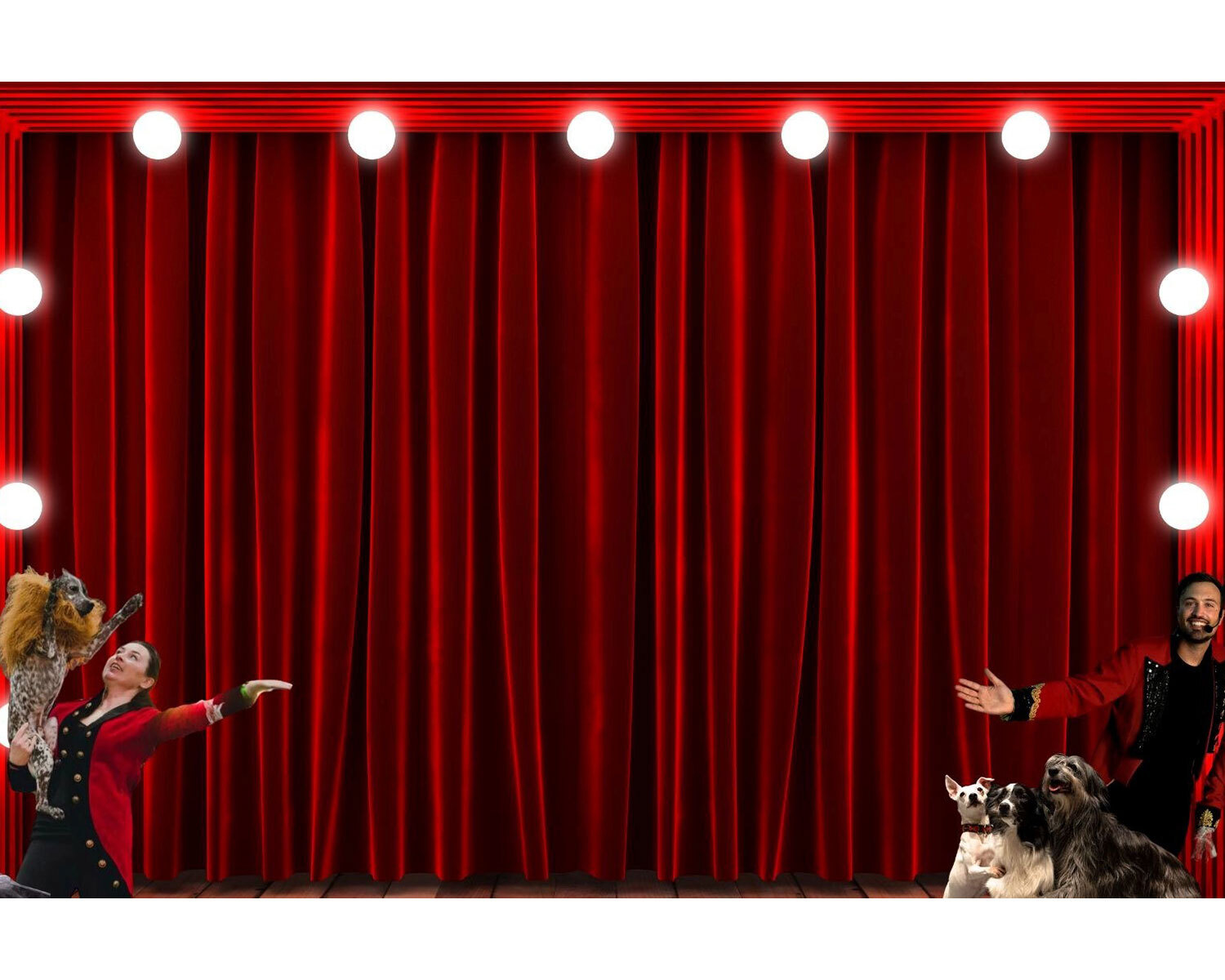 Dogs Do Magic (avec Aaron Matthews)