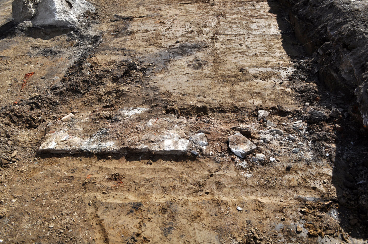 The discovery of the foundations of First Parliament in 2023