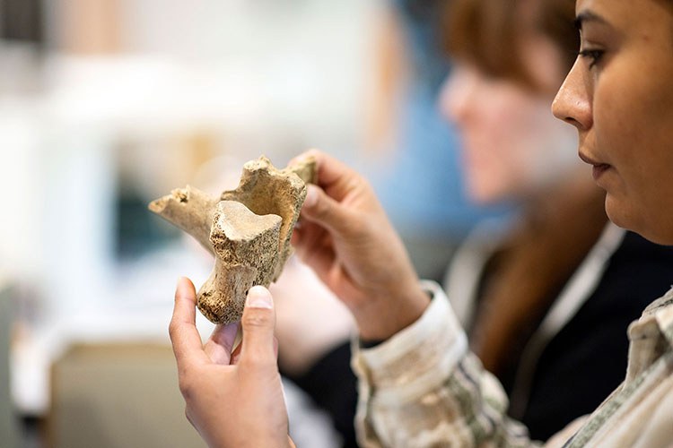 Pathways to Reclamation: The La Cloche Cataloguing, Learning and Sharing Project, Northern Ontario