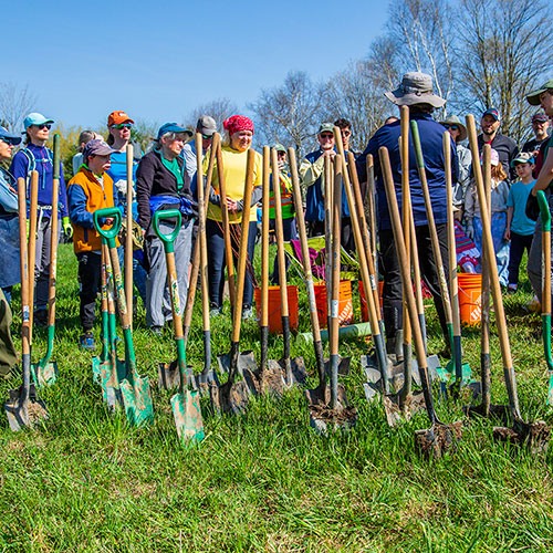 Bruce Trail Conservancy Seed Orchard Project, Niagara Escarpment
