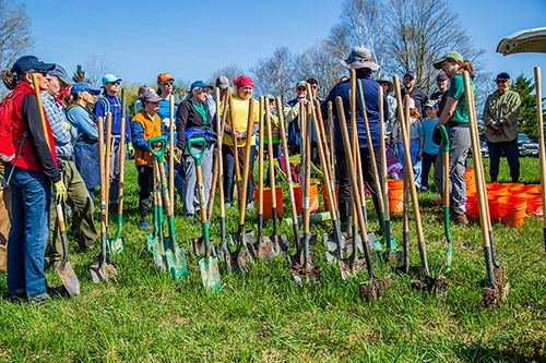 Bruce Trail Conservancy Seed Orchard Project, Niagara Escarpment