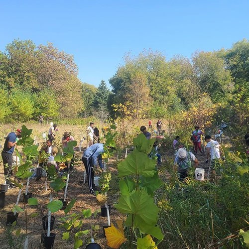 Habitat Restoration in the Rouge River Watershed, Richmond Hill, Toronto, Markham, Stouffville and Pickering