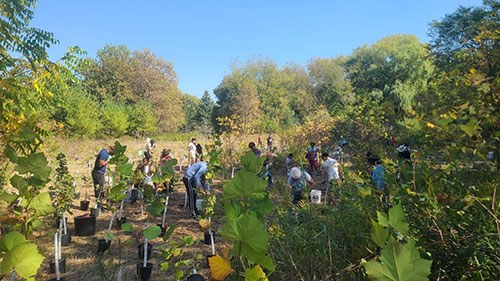 Habitat Restoration in the Rouge River Watershed, Richmond Hill, Toronto, Markham, Stouffville and Pickering
