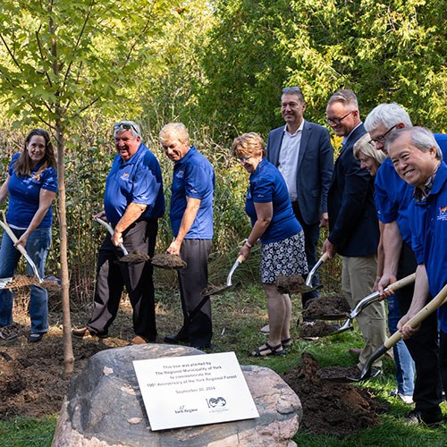 100th Anniversary of the York Regional Forest, York Region