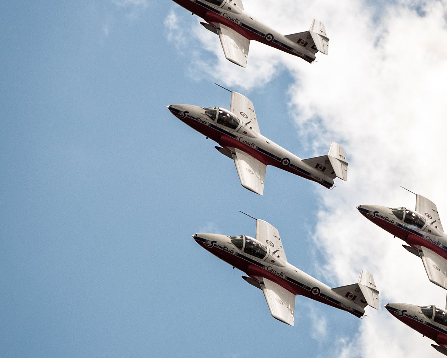 The Snowbirds (Photo: Destination Ontario)